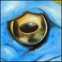 Augenblick eines Moorfrosches II; Acryl auf Leinwand;
30 x 30 cm